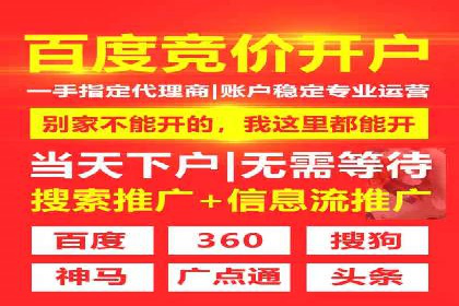 百度品牌专区推广的成效与案例